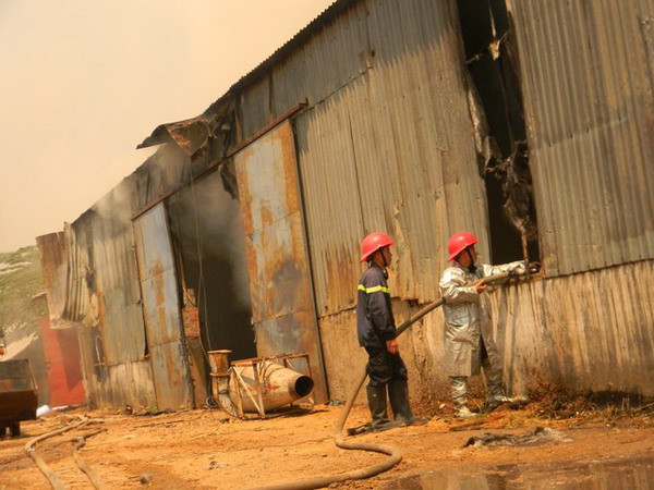 Cháy xưởng gỗ ở Bình Dương gây thiệt hại nặng nề ảnh 1