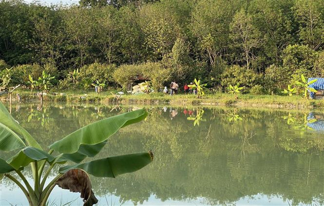 Tuyên Quang: Một em nhỏ tử vong do rơi xuống bể chứa nước ảnh 1