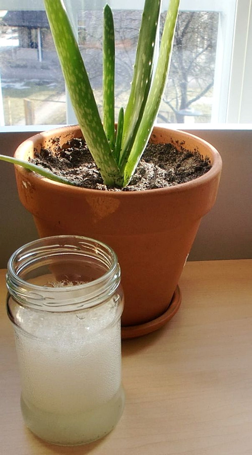 Những loại mặt nạ tự chế làm đẹp tức thì cho cô gái 20 ảnh 1