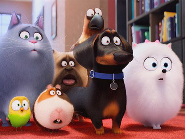 "Đẳng Cấp Thú Cưng" ra mắt hoành tráng, vượt mặt "Finding Dory" ảnh 1