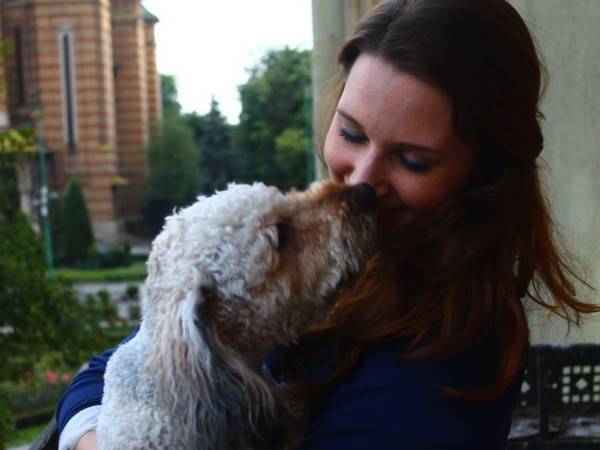 Bốn cách huấn luyện chó đơn giản và kết quả không ngờ ảnh 1