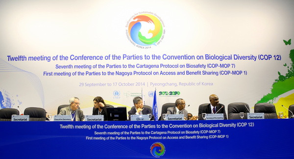 ASEAN cam kết đẩy mạnh bảo tồn đa dạng sinh học ảnh 1