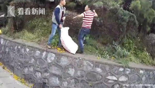 (Nguồn: shanghaiist) Tài xế khóc nức nở khi người dân thản nhiên "hôi" cam từ xe bị lật ảnh 2