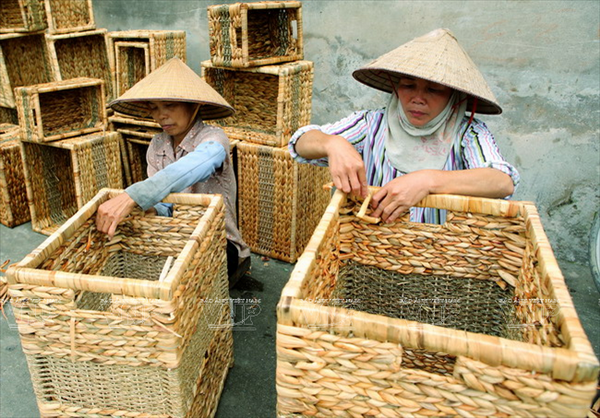 Nghệ nhân làng Lưu Thượng đang hoàn thiện sản phẩm. (Nguồn: Báo ảnh Việt Nam) Độc đáo làng nghề truyền thống đan guột Lưu Thượng ảnh 1