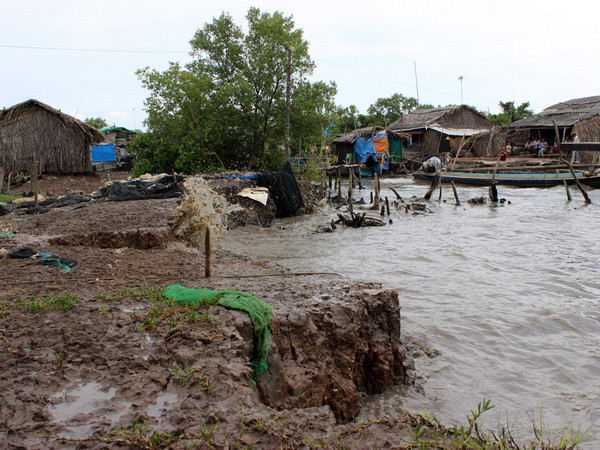 Cà Mau huy động 40 tỷ đồng triển khai khắc phục sạt lở đê ảnh 1