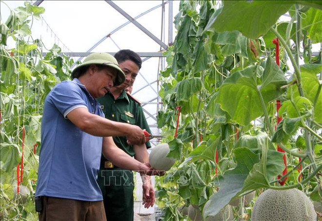 ttxvn_nha chong luc quang binh 6.jpg