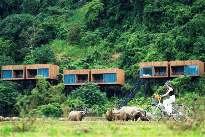 ttxvn_nha chong luc quang binh 4.jpg