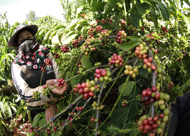 xuat khau nong san (Custom).jpg