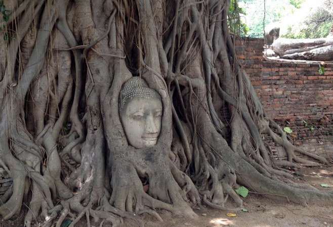 Ayutthaya - sự pha trộn tài tình giữa hiện tại và quá khứ ảnh 2
