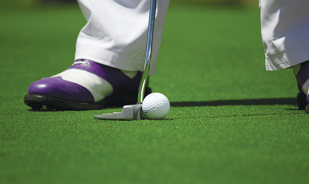 Phê duyệt chủ trương đầu tư ba sân golf ở Bắc Giang, Hòa Bình ảnh 1