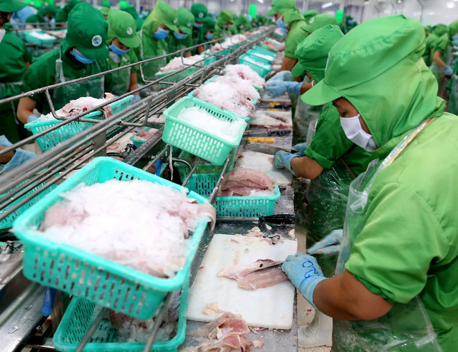 Xuất khẩu cá tra sang Trung Quốc tiếp tục tăng mạnh ảnh 1