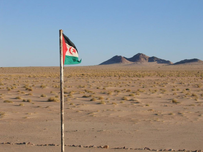 LHQ nhấn mạnh vai trò của Algeria trong vấn đề Tây Sahara ảnh 1