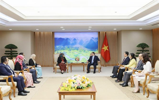 Thúc đẩy phát triển ngày càng hiệu quả quan hệ Việt Nam-Brunei ảnh 3