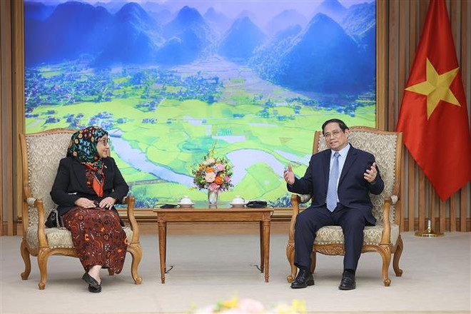 Thúc đẩy phát triển ngày càng hiệu quả quan hệ Việt Nam-Brunei ảnh 2