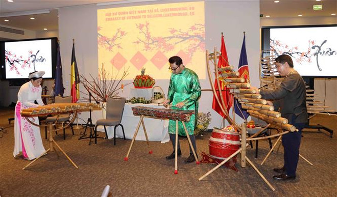 Kiều bào tại Bỉ và Luxembourg góp phần tăng cường quan hệ Việt Nam-EU ảnh 4