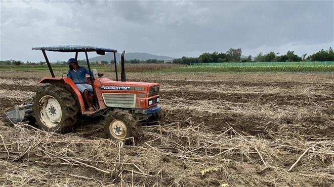 Dự thảo luật đã thể chế hóa chủ trương nâng cao hiệu quả sử dụng đất nông nghiệp theo quy hoạch. (Ảnh: Tường Quân/TTXVN) Sửa đổi Luật Đất đai: Khơi thông nguồn lực phải gắn với chống tiêu cực ảnh 2