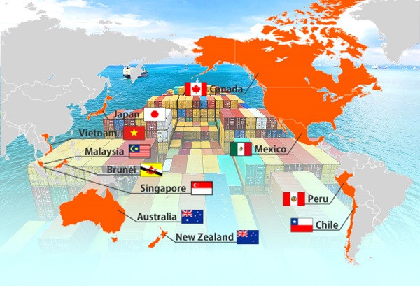 Các lợi ích cốt lõi của Việt Nam được đảm bảo khi tham gia CPTPP ảnh 1