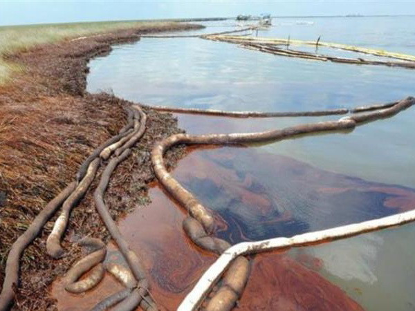 Mỹ quyết định phạt BP 20 tỷ USD vì sự cố tràn dầu vịnh Mexico ảnh 1