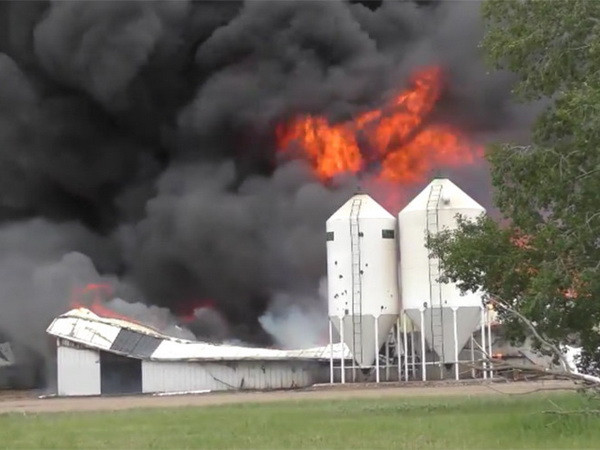 [Video] Kinh hoàng cảnh tượng cháy lớn thiêu sống 5.000 con lợn ảnh 1