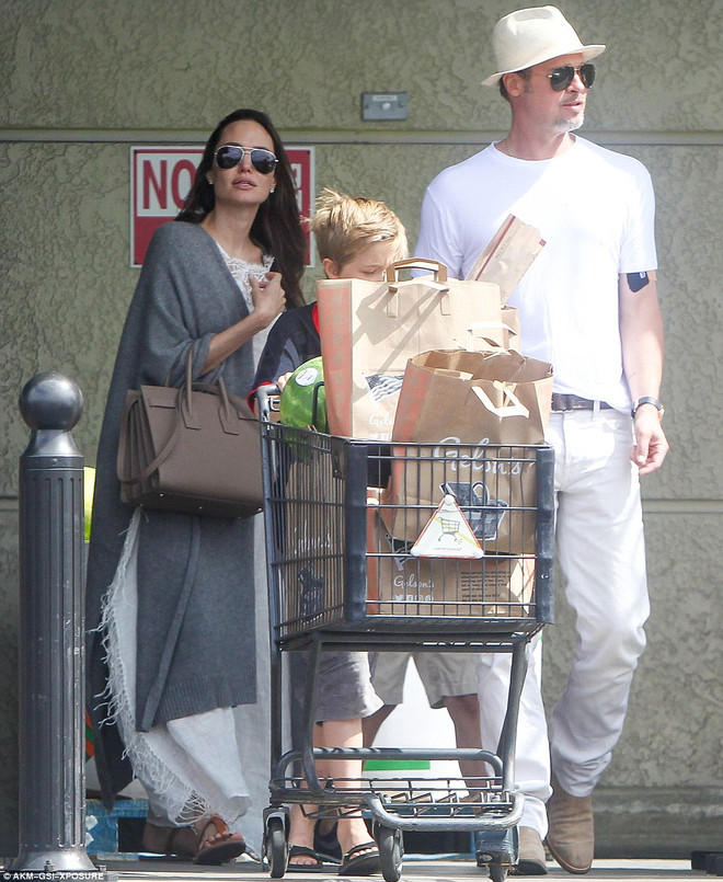 Brad Pitt "rất tức giận" khi nhận đơn ly hôn của Angelina Jolie ảnh 5