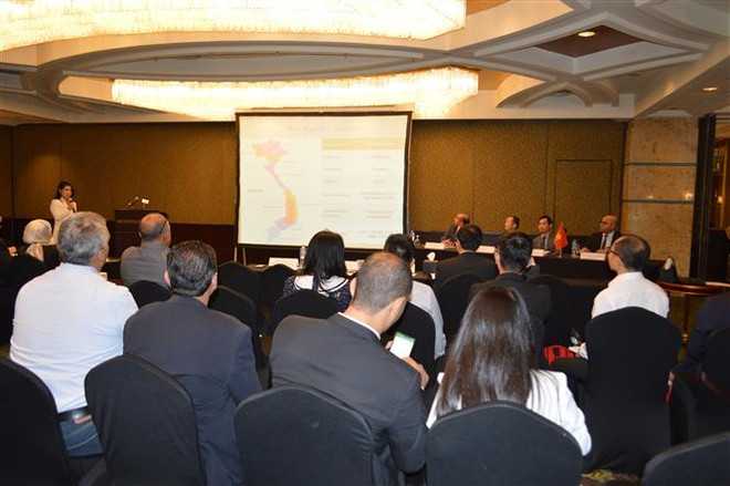 Doanh nghiệp Việt Nam và Ai Cập tăng cường kết nối, nắm bắt cơ hội ảnh 1