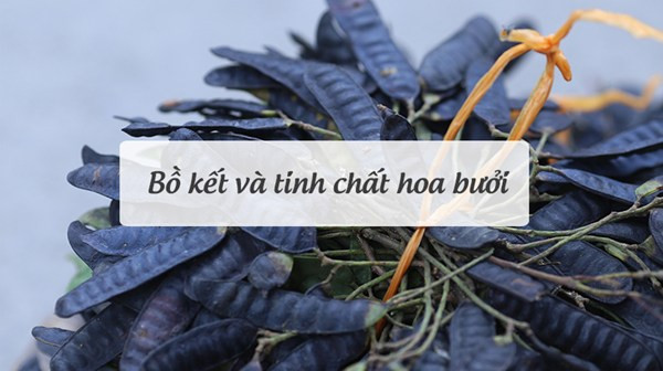 "Bỏ túi" bí quyết No Poo từ kho tàng làm đẹp của người Việt ảnh 2