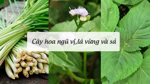 "Bỏ túi" bí quyết No Poo từ kho tàng làm đẹp của người Việt ảnh 3