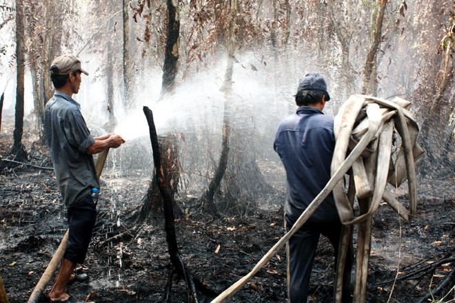 Nguy cơ cháy rừng U Minh Hạ tăng cao bất chấp cơn mưa "vàng" ảnh 1