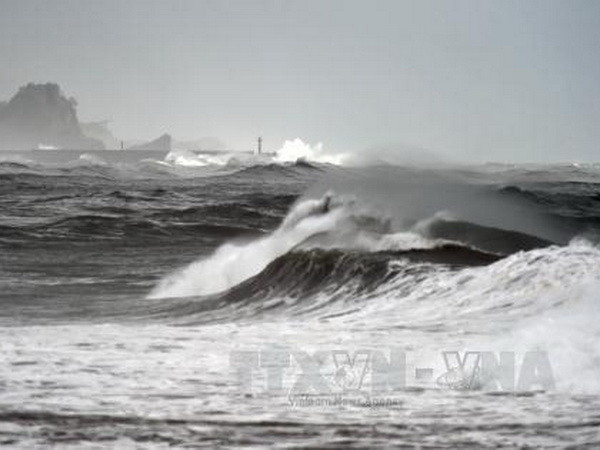 Siêu bão Goni khiến ít nhất 7 người thiệt mạng tại Philippines ảnh 1