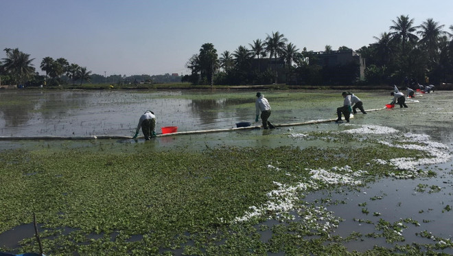 Sự cố tràn dầu ở Thanh Hóa: Cơ bản khắc phục trong khoảng nửa tháng ảnh 1