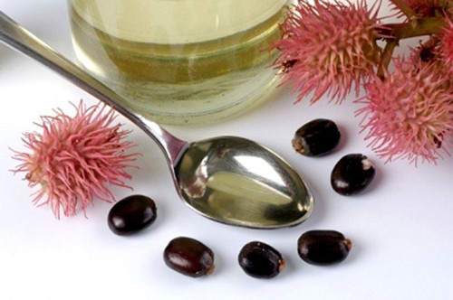 Các công thức giúp bạn điều trị tình trạng môi khô nứt ảnh 5