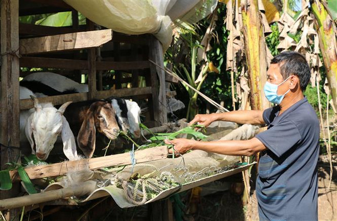 Ra mắt trang thông tin toàn diện về dân số, kinh tế-xã hội Việt Nam ảnh 2