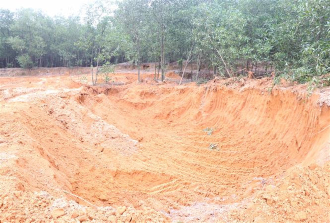 Quảng Trị xử lý vụ việc đào đất rừng đem bán do TTXVN phản ánh ảnh 2