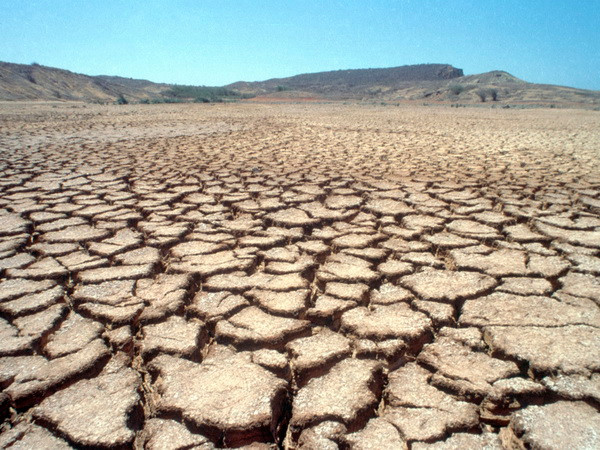 Séc đối mặt với tình trạng khô hạn nghiêm trọng nhất 100 năm qua ảnh 1