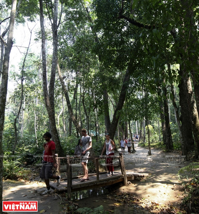 Mê mẩn quần thể thác Kuang Si hấp dẫn nhất cố đô xứ Triệu Voi ảnh 5