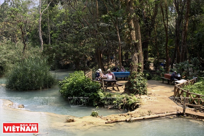 Mê mẩn quần thể thác Kuang Si hấp dẫn nhất cố đô xứ Triệu Voi ảnh 7