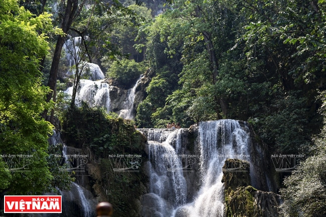 Mê mẩn quần thể thác Kuang Si hấp dẫn nhất cố đô xứ Triệu Voi ảnh 3