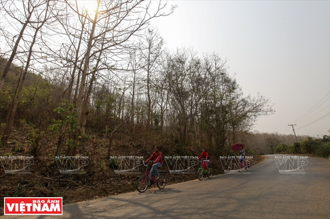 Mê mẩn quần thể thác Kuang Si hấp dẫn nhất cố đô xứ Triệu Voi ảnh 2