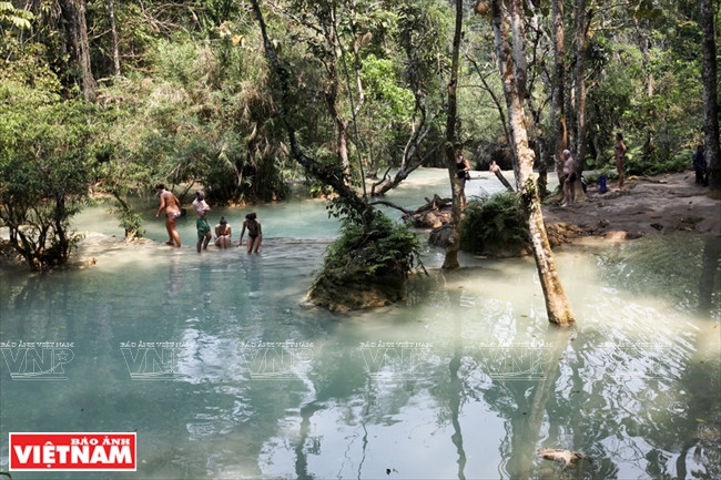 Mê mẩn quần thể thác Kuang Si hấp dẫn nhất cố đô xứ Triệu Voi ảnh 8