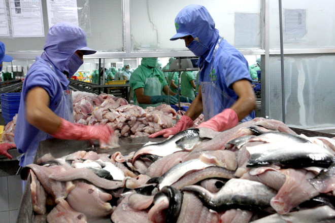 Việt Nam không bán phá giá filet cá tra, cá ba sa vào Hoa Kỳ ảnh 1