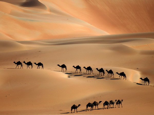 Chất lượng đất đai suy giảm đe dọa tới an ninh toàn cầu ảnh 1