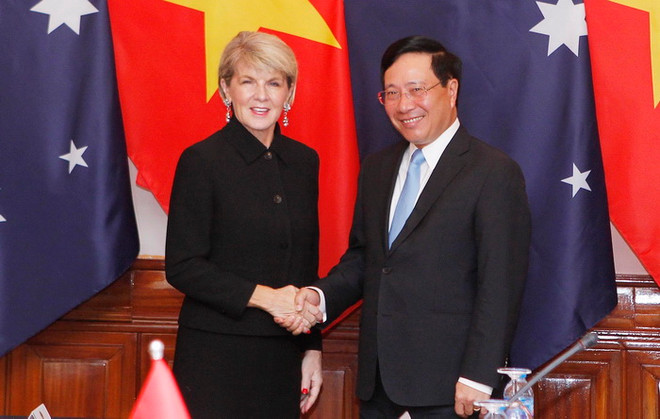 Bộ trưởng Ngoại giao Việt Nam-Australia chủ trì cuộc họp lần thứ nhất ảnh 1