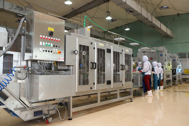 Khởi công xây dựng trung tâm chế biến rau quả hiện đại tại Gia Lai ảnh 2