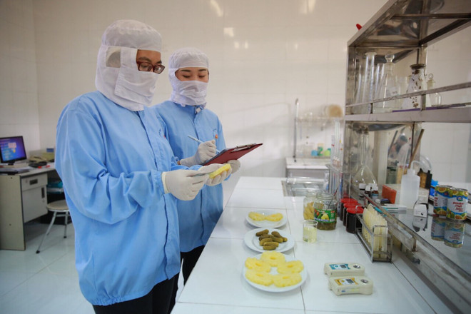 Khởi công xây dựng trung tâm chế biến rau quả hiện đại tại Gia Lai ảnh 5