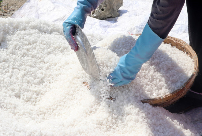 Diêm dân Phú Yên gặp khó vì muối được mùa nhưng rớt giá ảnh 1