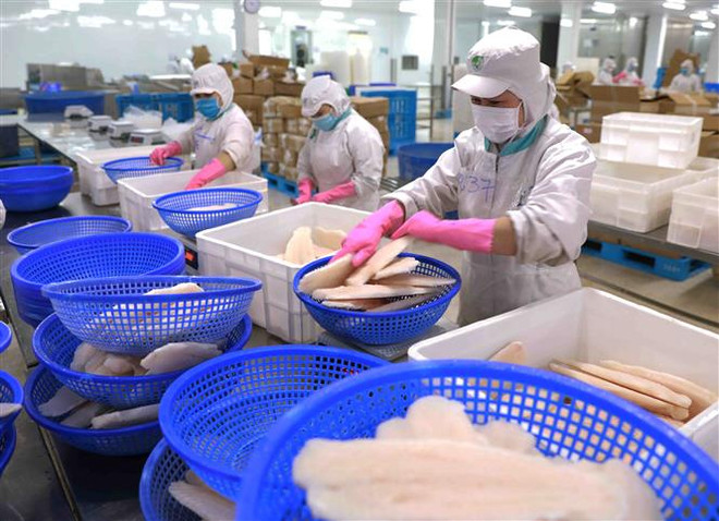 Hoạt động xuất nhập khẩu thích ứng với căng thẳng Nga-Ukraine ảnh 2