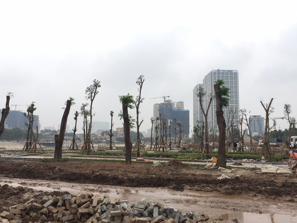 Bắc Ninh thu hồi 48 dự án khảo sát địa điểm quá thời hạn ảnh 1