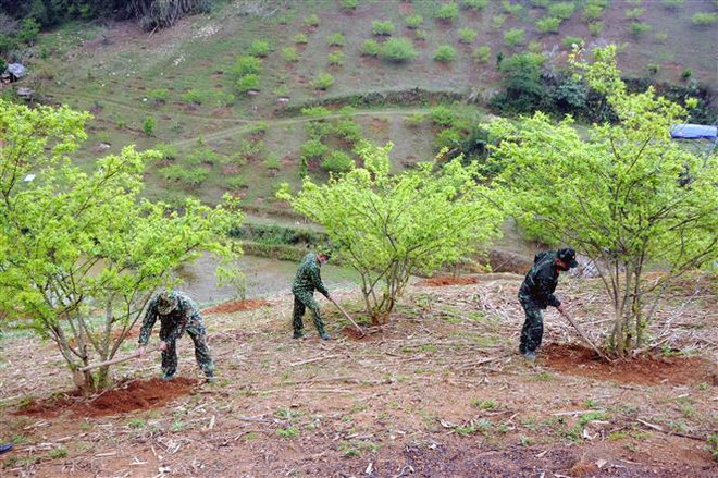 Phát triển bền vững kinh tế-xã hội nơi "phên dậu" quốc gia ảnh 2