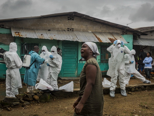 WHO quyết tâm kiểm soát và tiêu diệt căn bệnh chết người Ebola ảnh 1