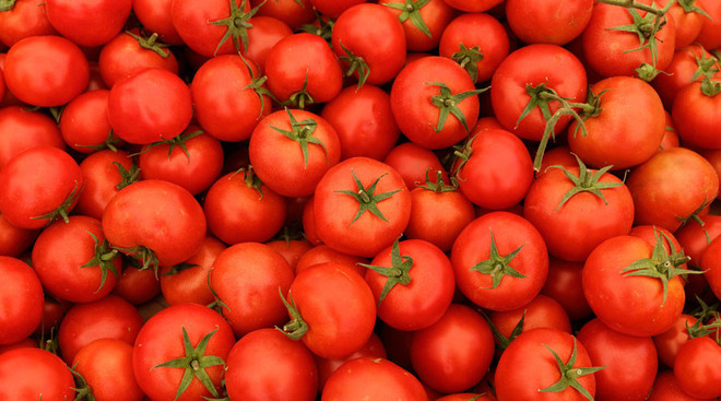 Thổ Nhĩ Kỳ mất gần 2 tỷ USD vì không thể xuất khẩu cà chua sang Nga ảnh 1